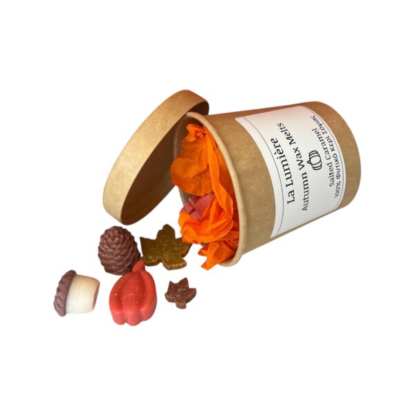 Autumn Wax Melts Box